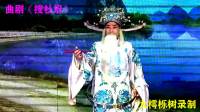 曲剧下载免费下载《搜杜府》全场(上集)河南