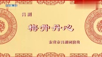 吕剧《梅骨丹心》主演 王美霞 赵静下载