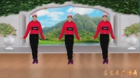 蓝天云广场舞《感谢陪伴》甜蜜情歌对唱 温