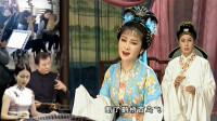 黄梅戏《梁山伯与祝英台》选段 心中飞走小