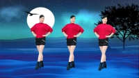 玫香广场舞《想你的夜晚》优美旋律 32步好