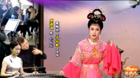 黄梅戏《天仙配》表演 周源源下载