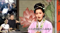 安徽庐剧《借种》丫头不要失家教 表演 刘长