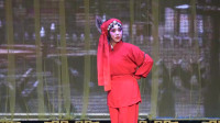 秦腔《三桩誓愿》美女晁花兰倾情演出 演唱