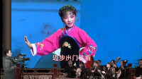 安徽庐剧《借罗衣》名师教出来的小学生 眼
