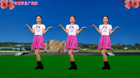 民歌DJ广场舞《你是我的情哥哥》只想和你到