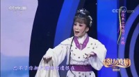 黄梅戏《花木兰传奇》选段 经典珍藏版戏曲