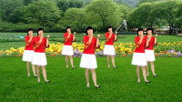 广场舞《等到花儿开》歌醉舞美 好听好看又