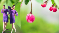花想容广场舞《暗恋她的代价》拉丁风背面演
