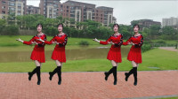 广场舞《一个家一个妈》一遍就能学会 没基