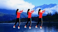 广场舞《一生爱一次》32步超动感有教学 好