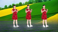 玫香广场舞《人这一辈子图个啥》动感16步附