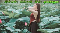 民间小调 《光棍诉苦》