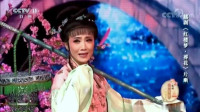越剧《红楼梦葬花》片段  上海越剧院王派花