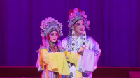 庐剧《春三月鸟语花香》经典唱段
