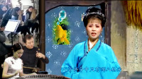 安徽庐剧《借种》婆母做错糊涂事 害得媳妇