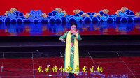 河南曲剧《刘公案》选段 本后我出京来山摇
