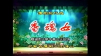 豫剧《香魂女》领衔主演 王惠 杨红霞  河南