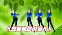 DJ广场舞《想要对你说爱人》美女舞姿动感时