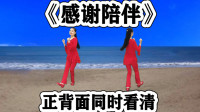 广场舞《感谢陪伴》超清正背面 好听养眼又