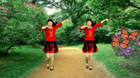 广场舞《又见两只蝴蝶飞》歌声优美动听 简