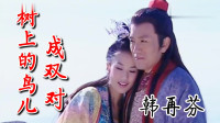 经典黄梅戏《树上的鸟儿成双对》韩再芬唱的