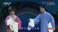 黄梅戏《女驸马》精彩选段 最经典的韵味