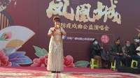梨园春豫剧《秦雪梅》选段坐楼一折  擂主丁艳红演唱下载