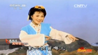 黄梅戏传统戏《蓝桥会》选段 杉木水桶 名家