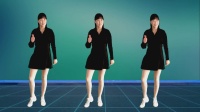 最新DJ版广场舞《想不想能不能该不该》一步