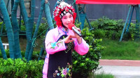豫剧《天上的太阳赶月亮》选段 优秀演员李桂兰演唱下载