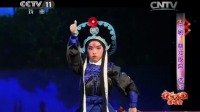 京剧《林冲夜奔》经典选段 观众掌声不断
