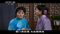 越剧《杨乃武平冤记》选段 几时月圆人无忧 