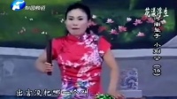 河南坠子《刘统勋小出身》全本30集合并 胡银花演唱下载