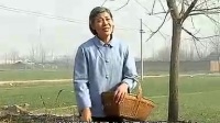 安徽民间小调《 芳草泪续集》第 2集