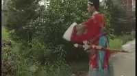 湖南花鼓戏《陶澍私访华容》3字幕标清