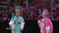 扬剧《梁祝》 十八相送 赵凤 顾东升演出下载