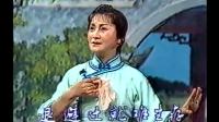 沪剧全剧《大雷雨》石筱英 诸惠琴 徐伯涛 沈仁伟等大师主演经典之作下载
