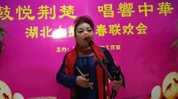湖北大鼓《咏梅》表演者 张秋梅
