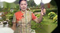 河南坠子 《五妻争夫》第4集