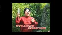河南坠子《刘云打母》