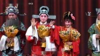 锡剧《双珠凤凤会凤合》字幕版  主演 薛平鸽 吴铁军 高忠伟 赵燕君下载
