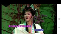 锡剧《双珠凤 枝头鸟儿》董云华演唱下载