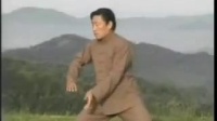 陈氏太极拳《缠丝功》（中）陈小旺演示下载
