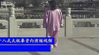 48式太极拳带口令背正向演示下载
