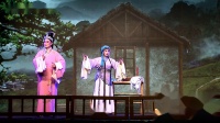 锡剧《青丝泪诀别》字幕版 主演 姜丽 张中和 薛忆军 张小国 王海彪下载