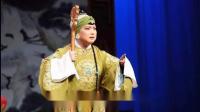 淮剧《告御状》选段 小奴才气得我火冒万丈 演唱 谢艳霞