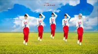 广场舞《妹妹你等着我》原创大众健身舞附分