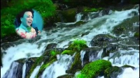 豫剧《小二黑结婚》选段《清凌凌的水来蓝莹