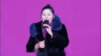 淮剧《大雁南飞》选段 马海燕 演唱